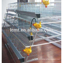 poultry farm layer cages from China factory